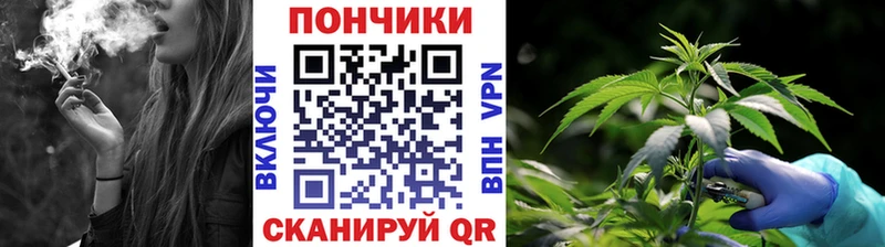 Конопля семена Медынь